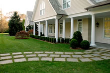 Landscaped yard