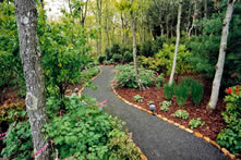 Landscape in front of home