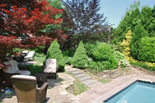 Landscape by pool