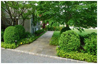 landscaping
